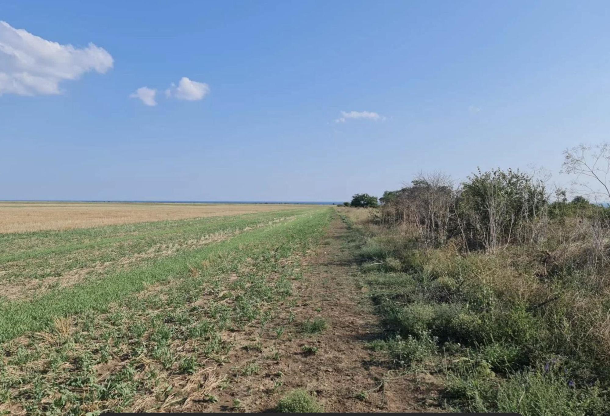 Купить землю, земельный участок за 12 000 000 рублей на село Окуневка