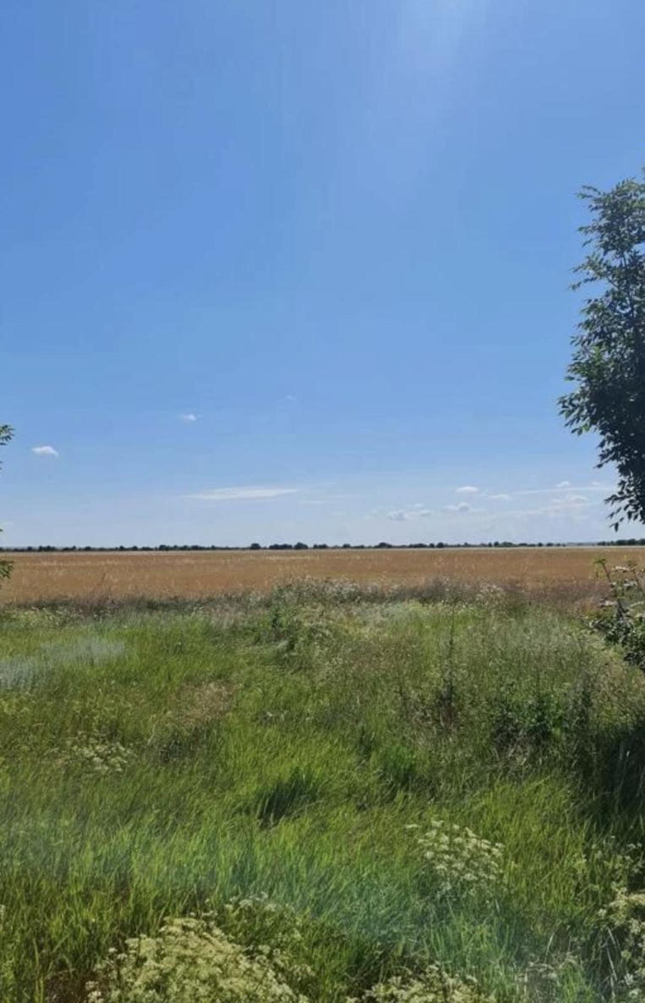 Купить землю, земельный участок за 3 000 000 рублей на село Окуневка