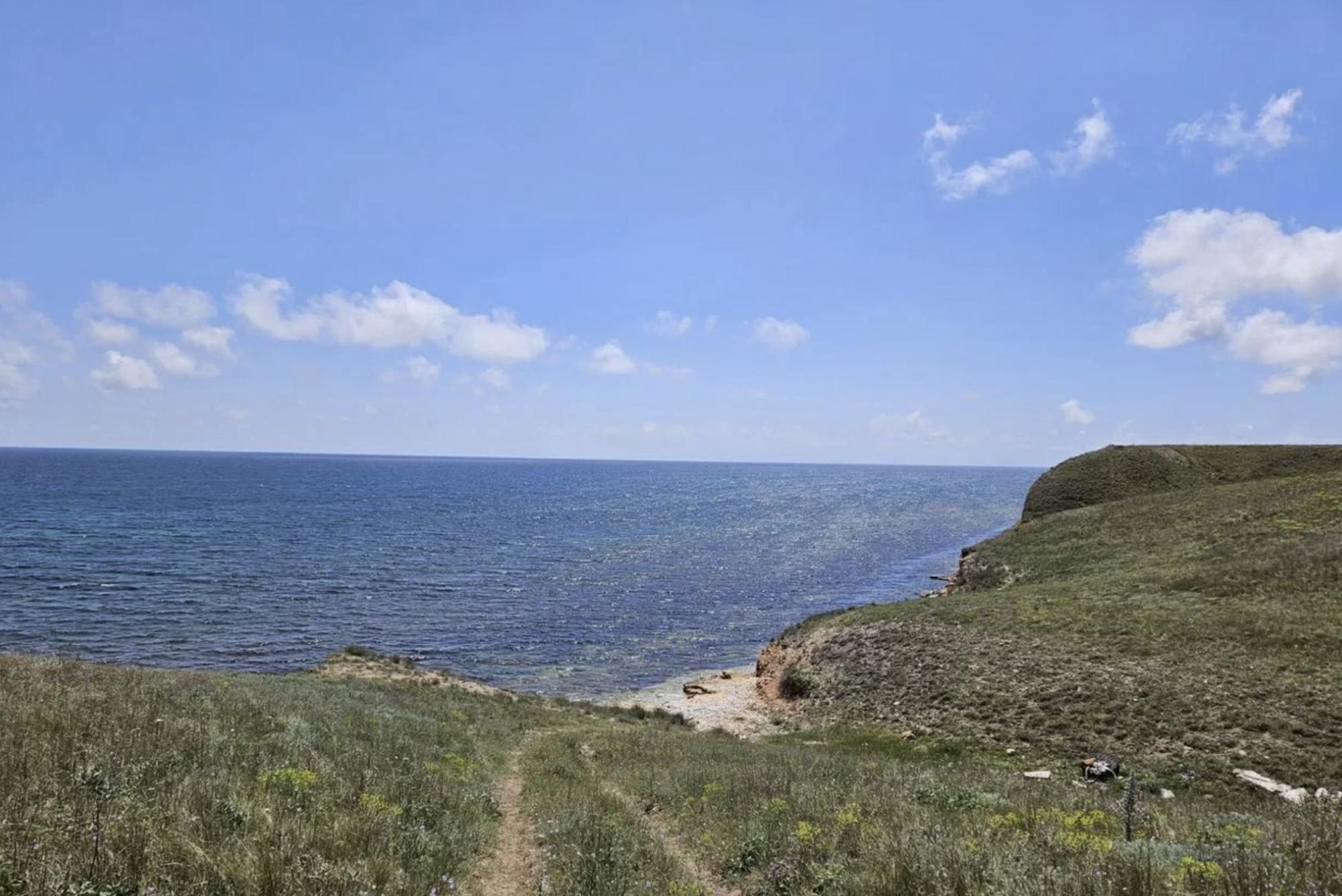 Купить землю, земельный участок за 6 000 000 рублей на село Окуневка