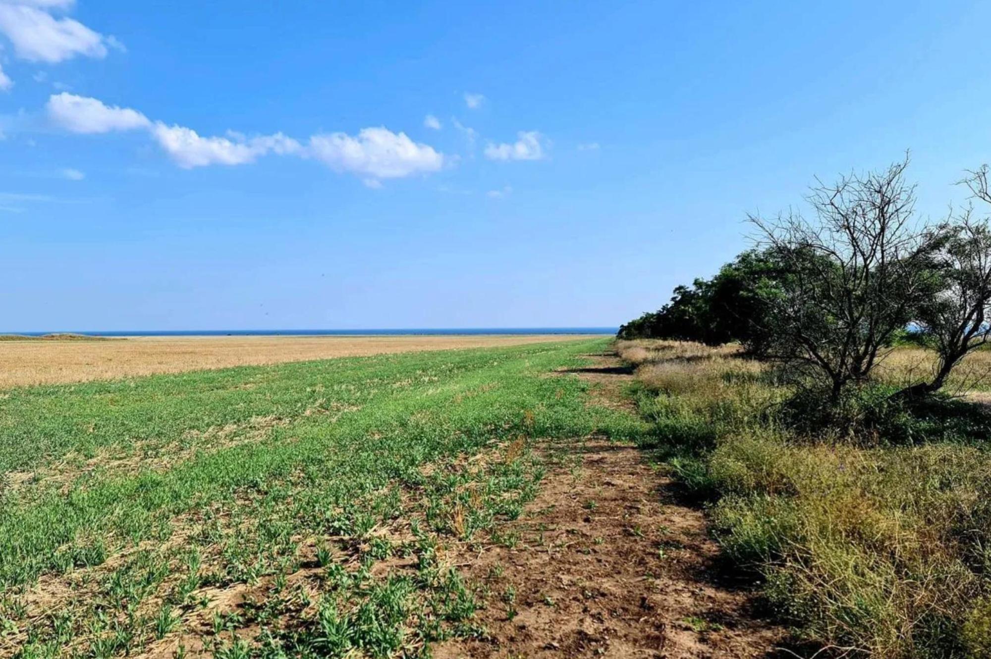 Купить землю, земельный участок за 12 000 000 рублей на село Окуневка