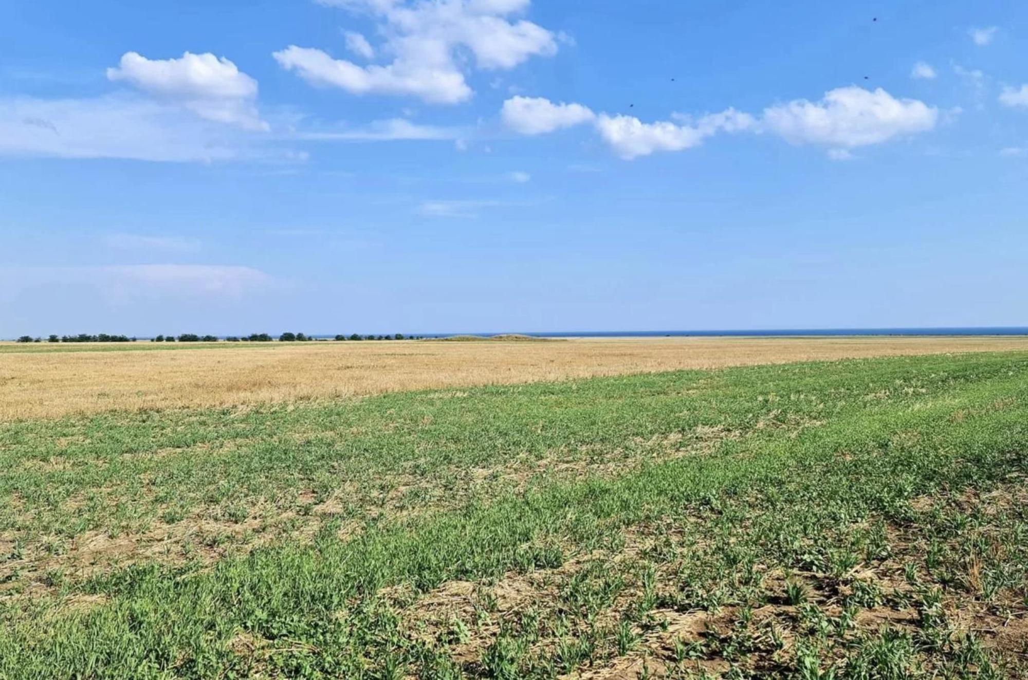 Купить землю, земельный участок за 1 500 000 рублей на село Окуневка