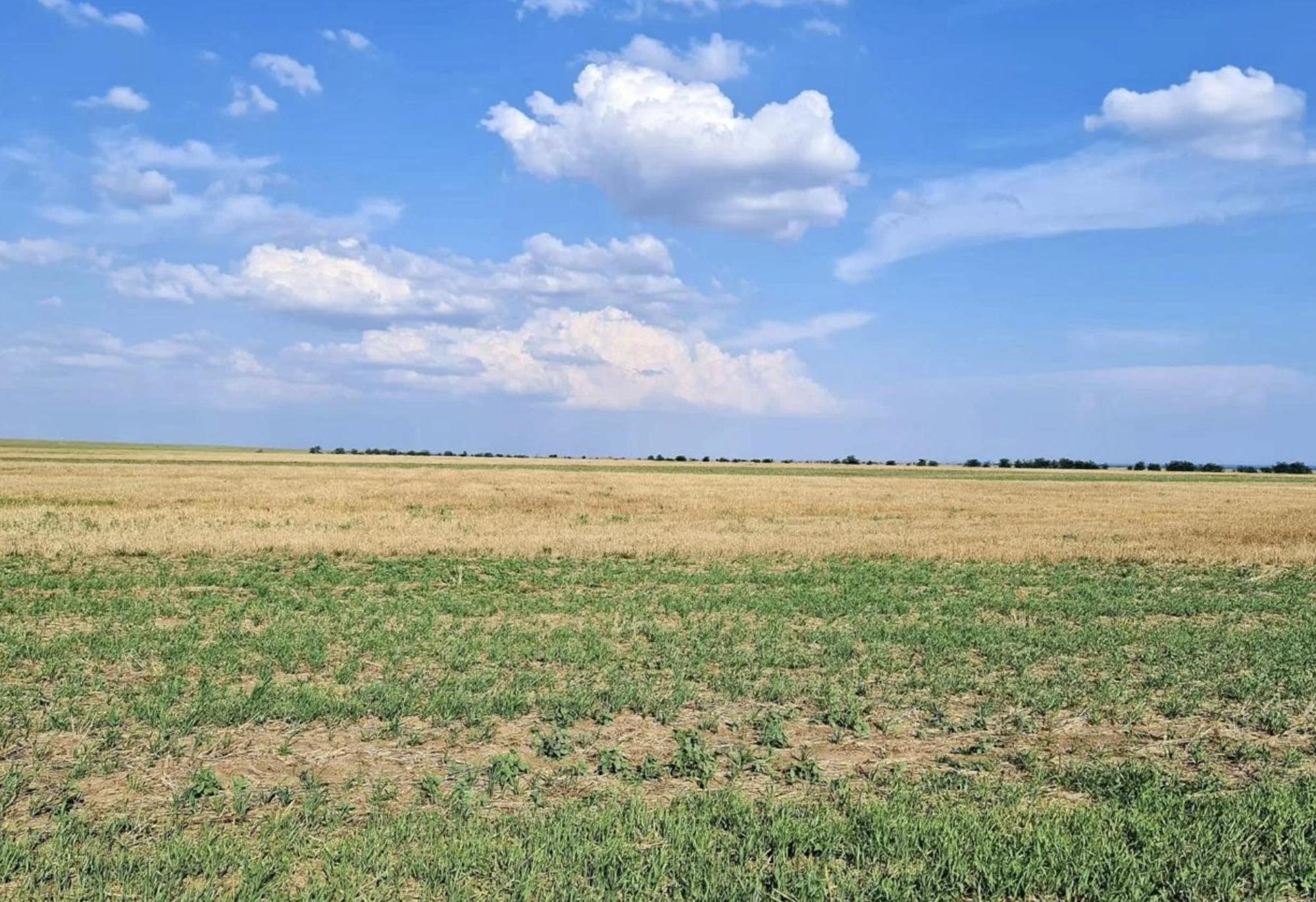 Купить землю, земельный участок за 1 500 000 рублей на село Окуневка