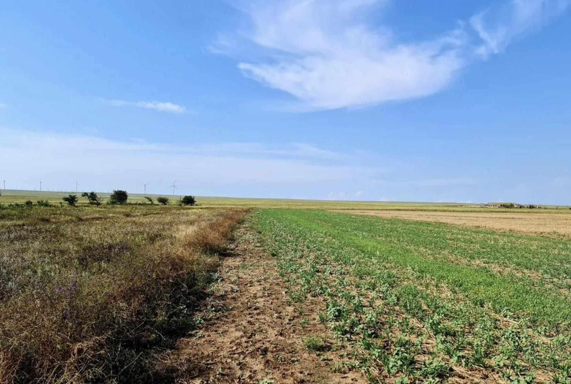 Купить землю, земельный участок за 1 500 000 рублей на село Окуневка