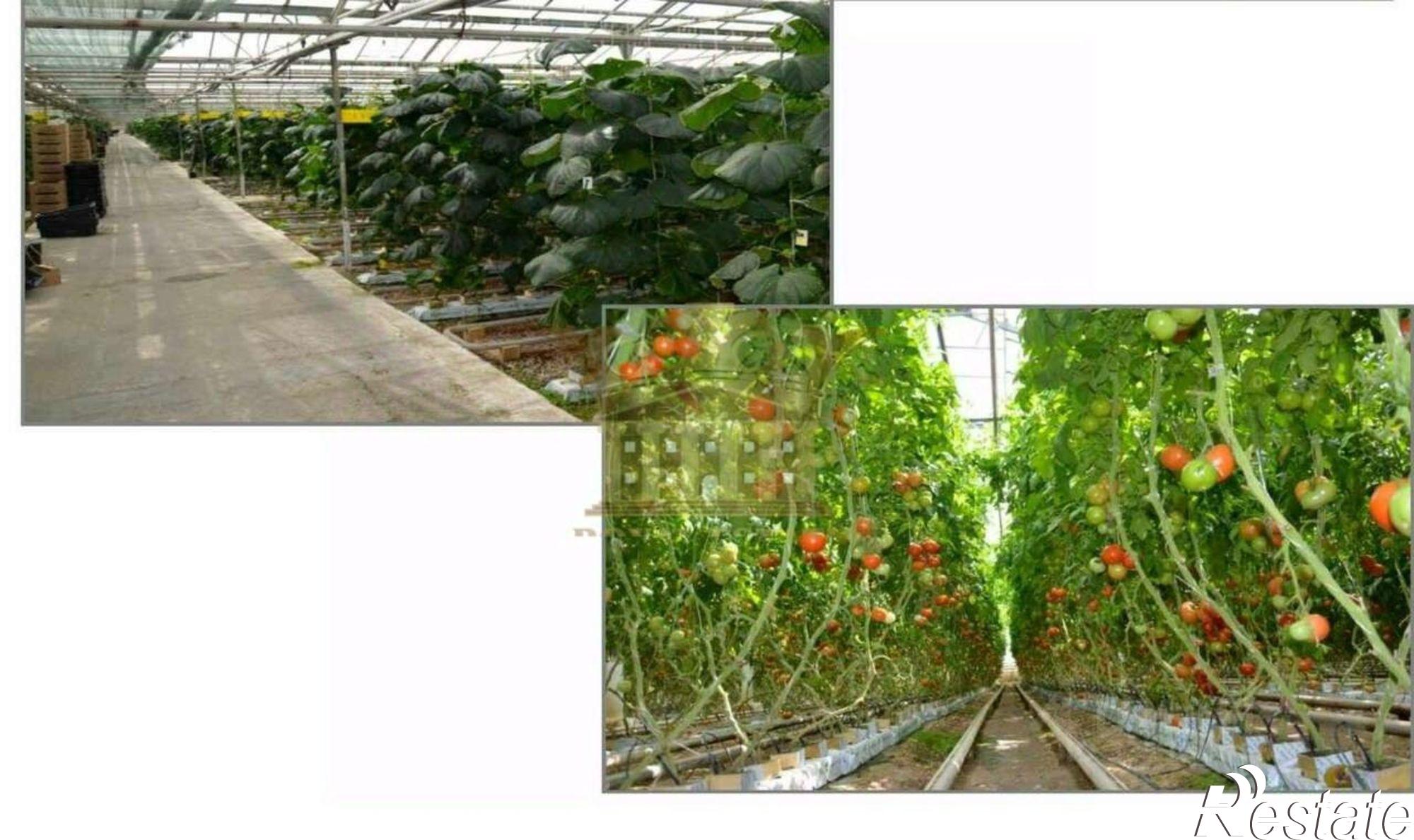 Купить ОСЗ, отдельно стоящее здание за 9 928 620 рублей на Чернореченская улица, 114