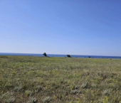 земля 100 сот село Окуневка