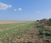 земля 750 сот село Окуневка