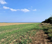 земля 100 сот село Окуневка