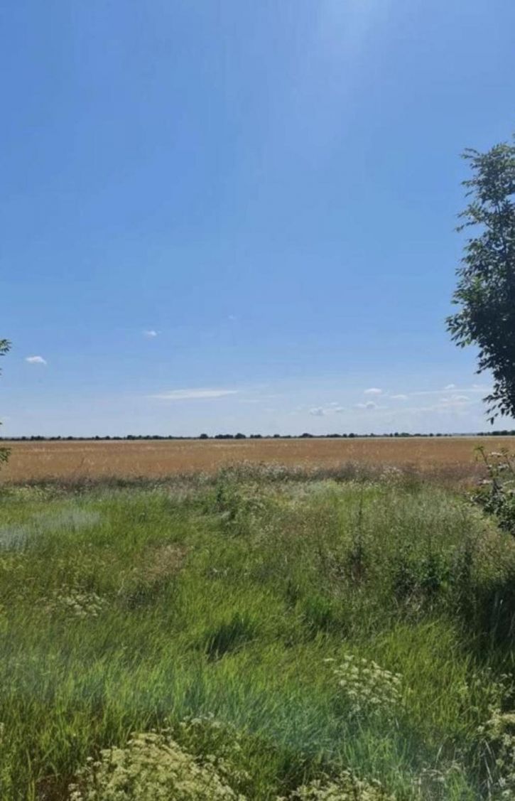Земельный участок село Окуневка