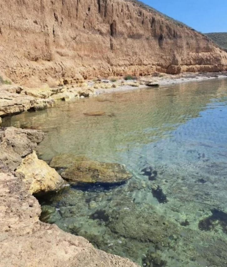 Земельный участок село Окуневка
