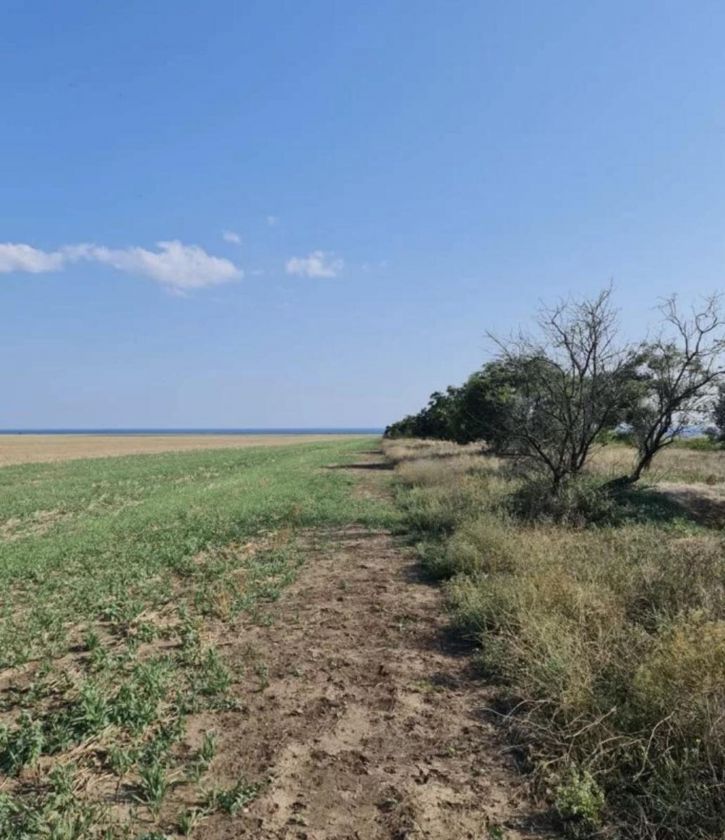 Земельный участок село Окуневка