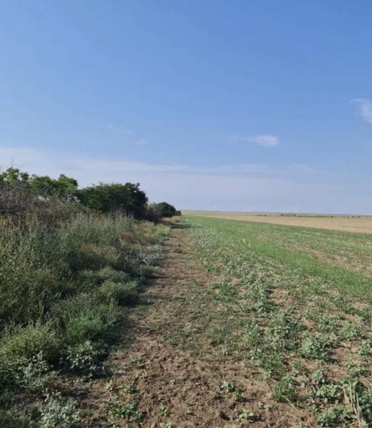 Земельный участок село Окуневка