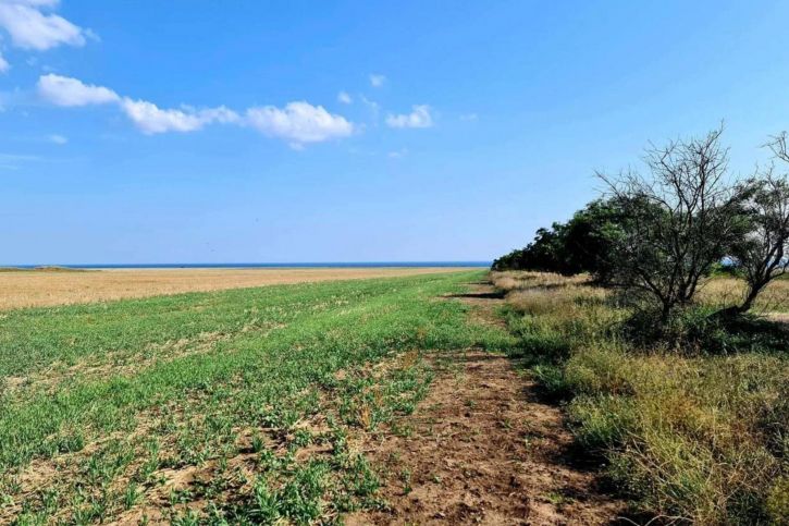 Земельный участок село Окуневка