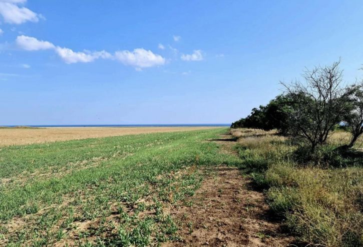 Земельный участок село Окуневка