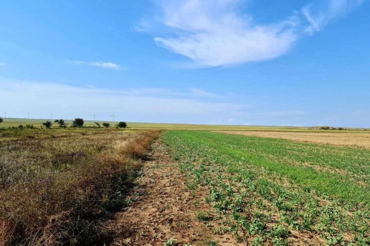 Земельный участок село Окуневка