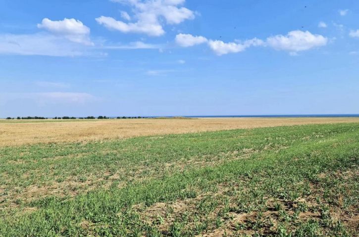 Земельный участок село Окуневка