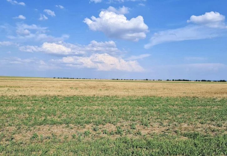 Земельный участок село Окуневка