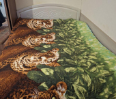 коттедж 200 кв м ул Ипсилантия, 11