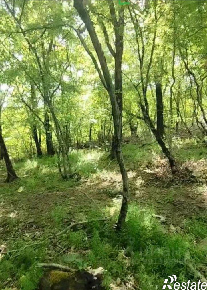 Земельный участок Ялта муниципальный округ