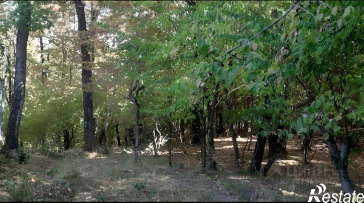Земельный участок Ялта муниципальный округ