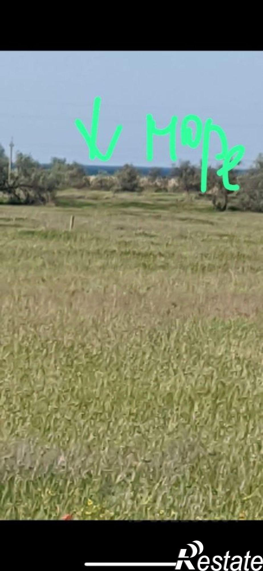 Купить землю, земельный участок за 1 500 000 рублей на Сакский район