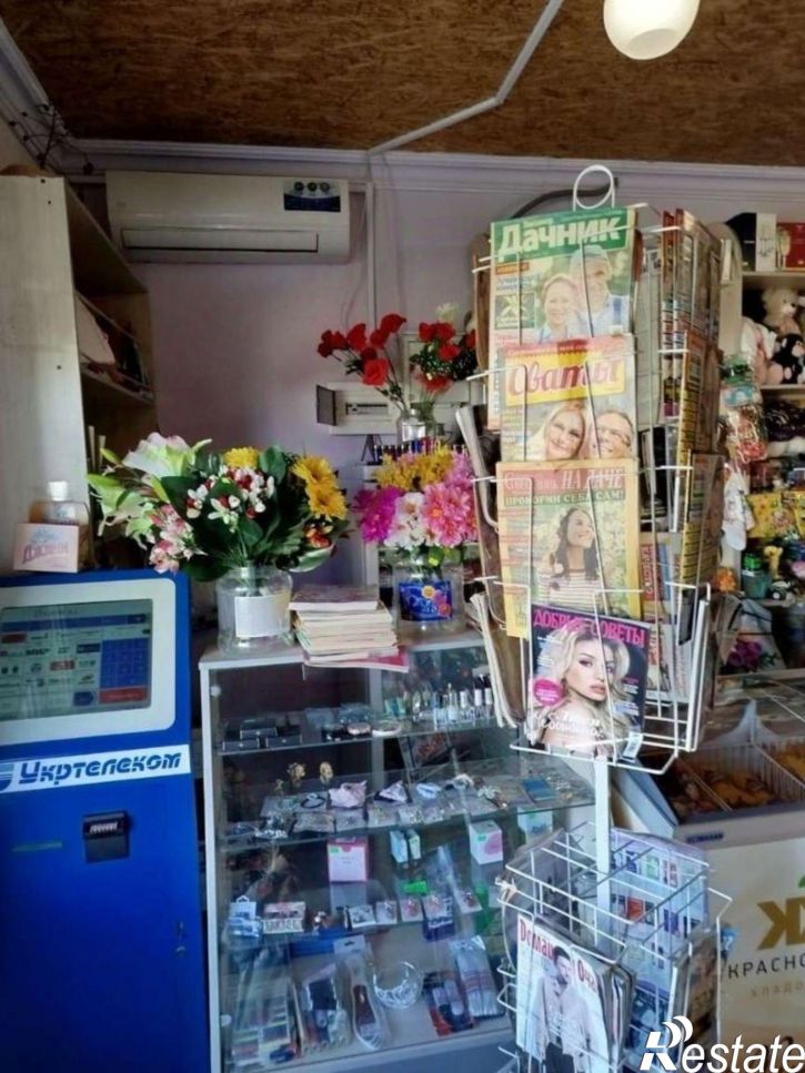 Торговое помещение Симферопольский район, Строгоновка с,дом 26в