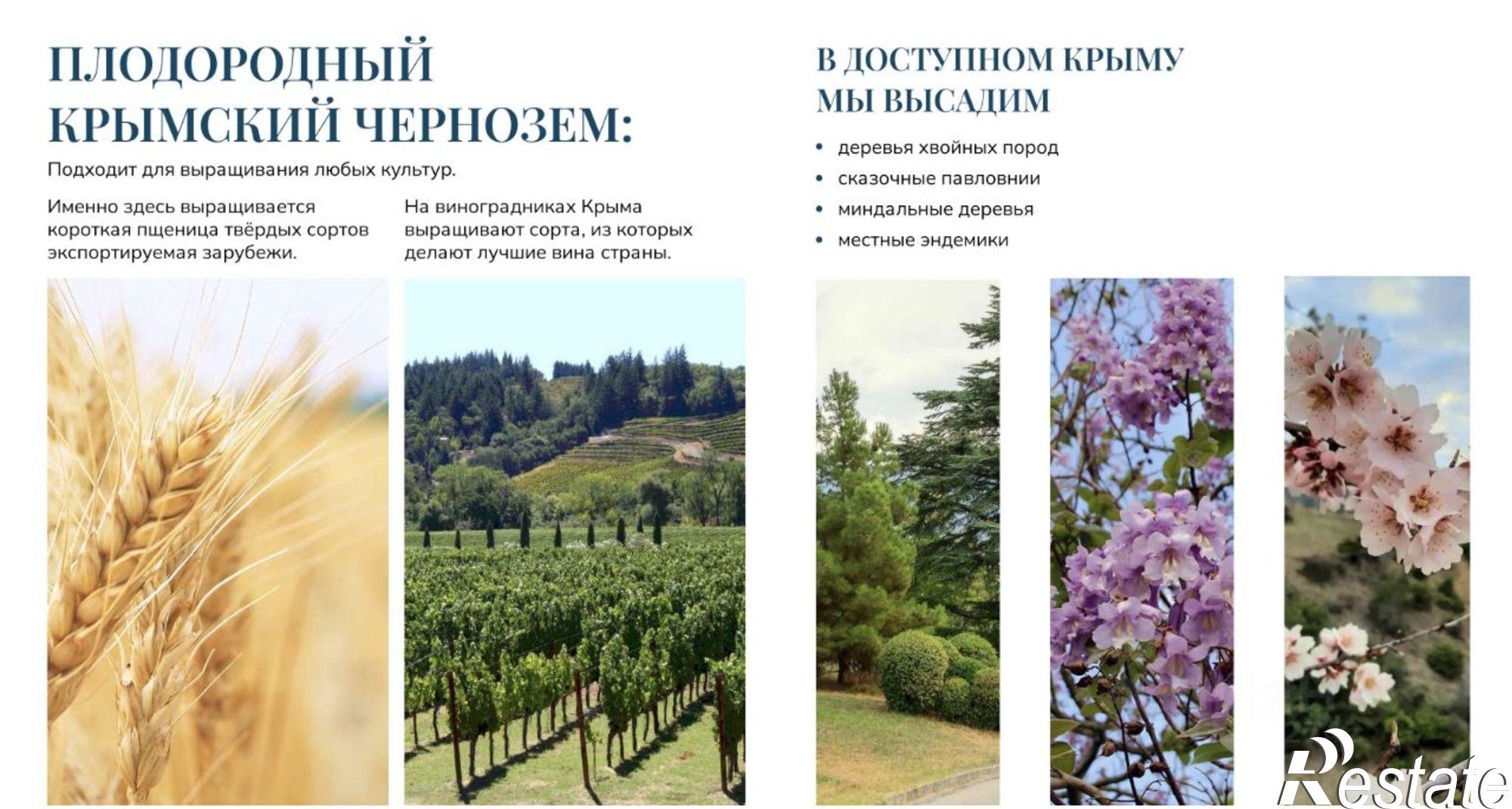 Купить землю, земельный участок за 3 000 000 рублей на Кировский район