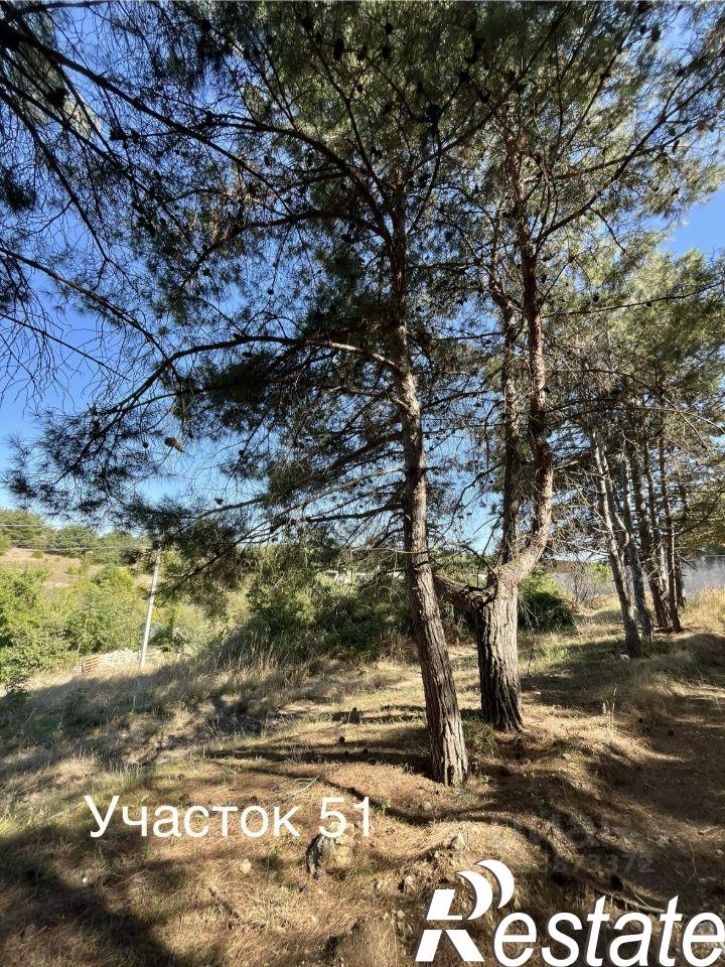 Земельный участок Маслиновая улица, 50,  д. 50