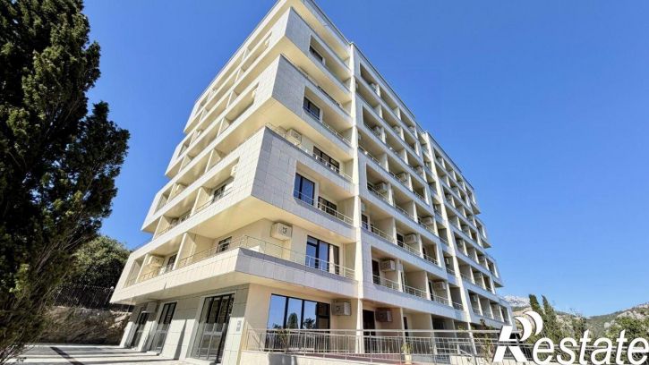 1-комн квартира улица Виткевича, 12,  д. 12