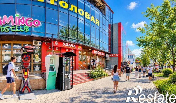 Торговое помещение улица Адмирала Фадеева, 1В,  д. 1В
