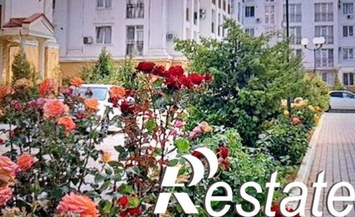1-комн квартира улица Челнокова, 17/1,  д. 17/1