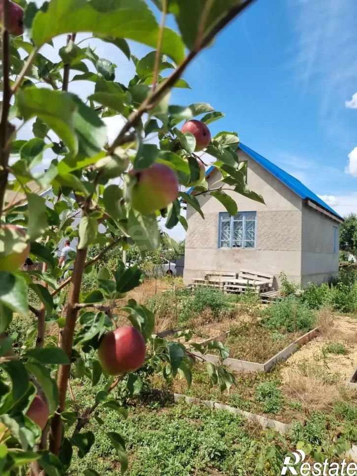 Коттедж/дом Россия, Ореховское сельское поселение, садоводческий потребительский кооператив Труд, 6-я Восточная улица